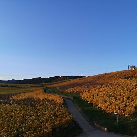 Cocon De Caractere Au Coeur Des Vignes Alsaciennes Apartment Bergheim Exterior foto
