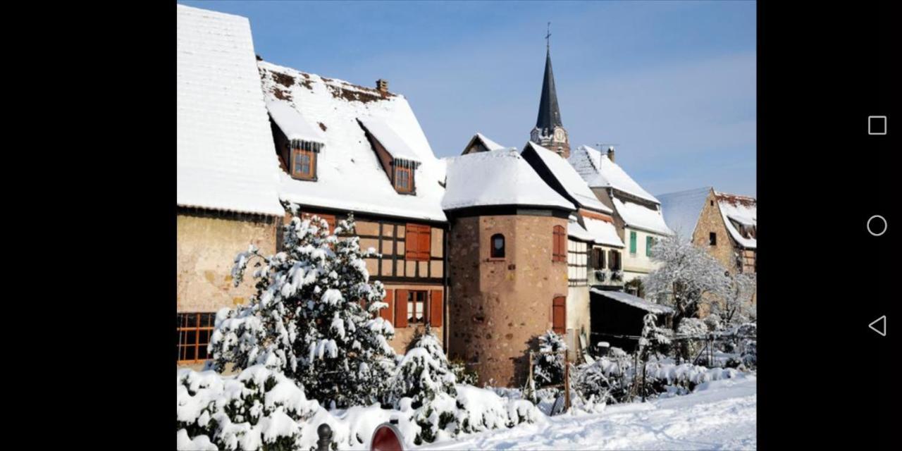Cocon De Caractere Au Coeur Des Vignes Alsaciennes Apartment Bergheim Exterior foto