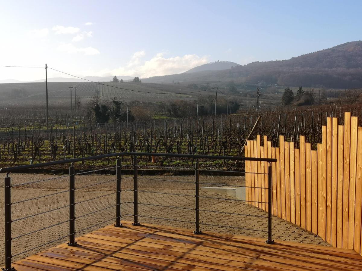 Cocon De Caractere Au Coeur Des Vignes Alsaciennes Apartment Bergheim Exterior foto